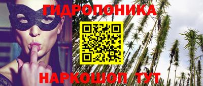 таблы Гатчина